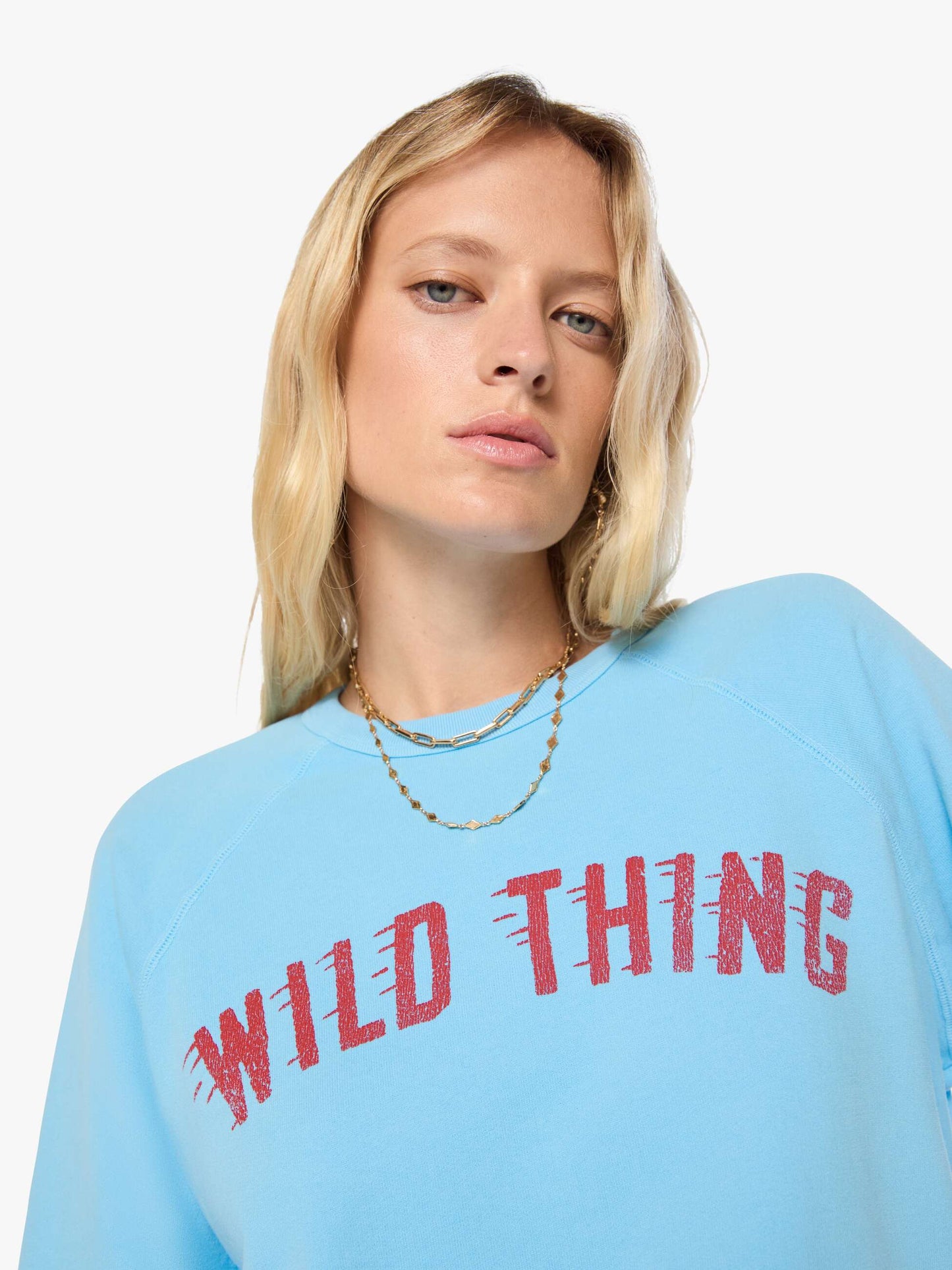 The Concert - Wild Thing