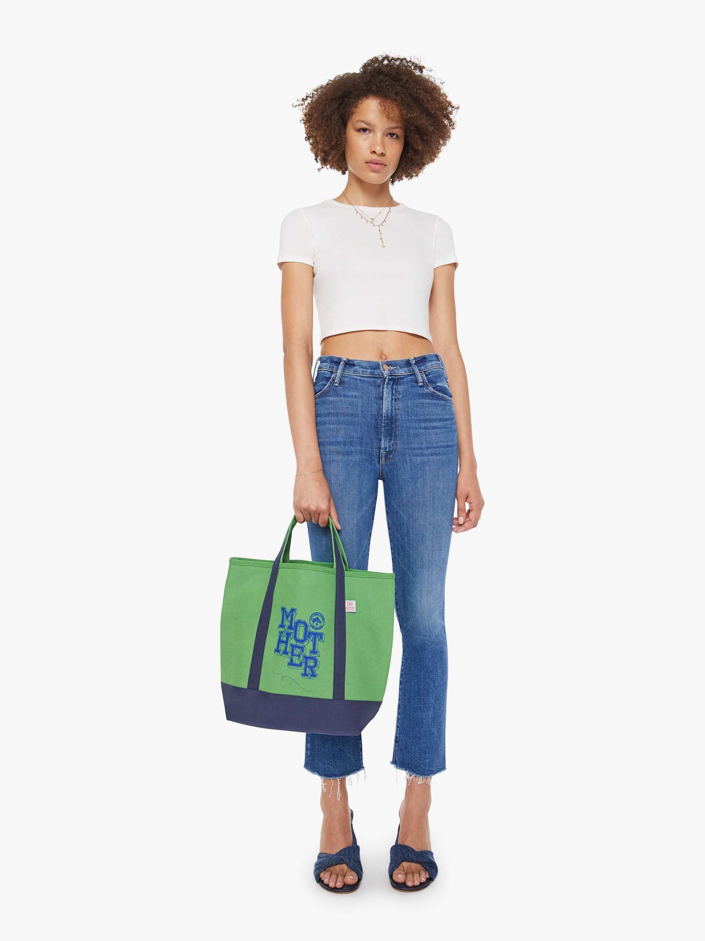 The Canvas Tote Bag - Kelly Green And Cobalt