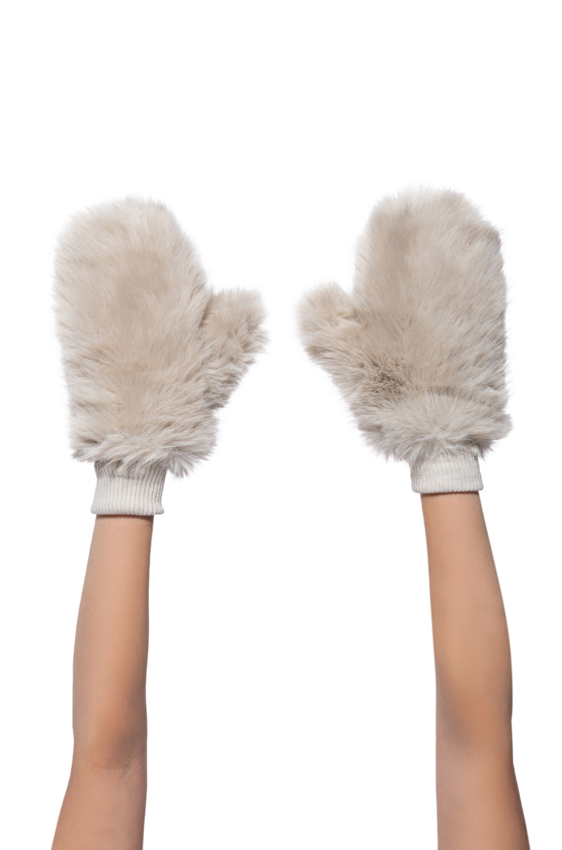 ALL ABOUT THE MONEY FUR MITTENS