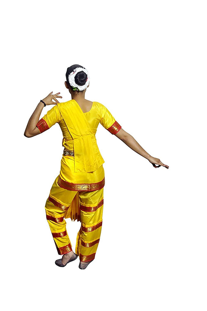 Bharatanatyam Dress - Indian Classical Dance Costume