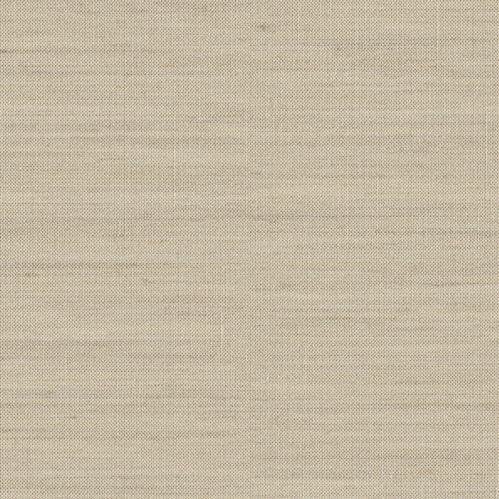 Observation - Ground Level - 6004 - 04