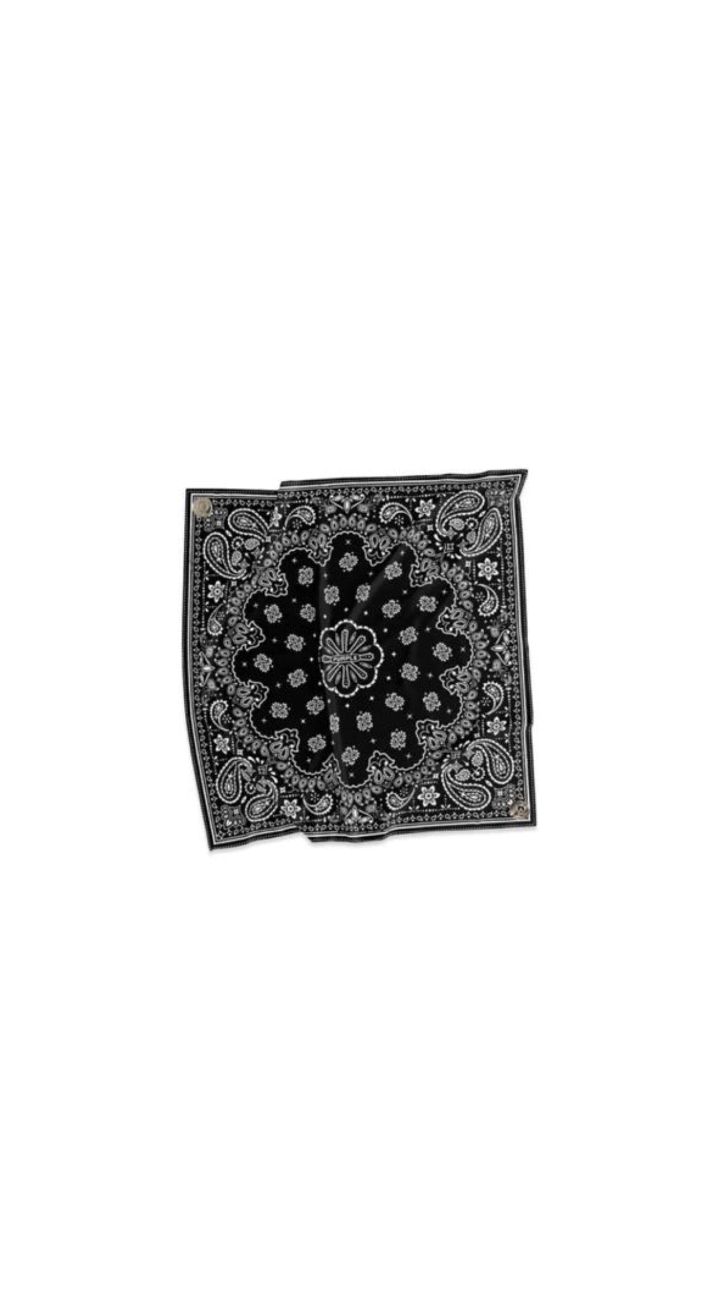 Paisley Bandana