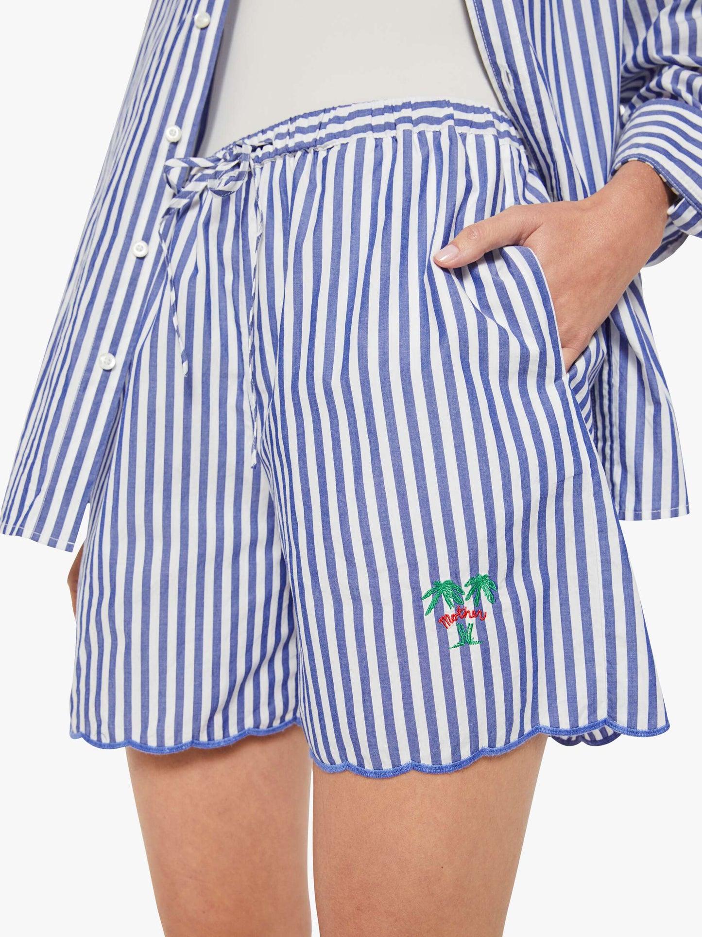 The Drawn Freeballer Short - White And Blue Stripe