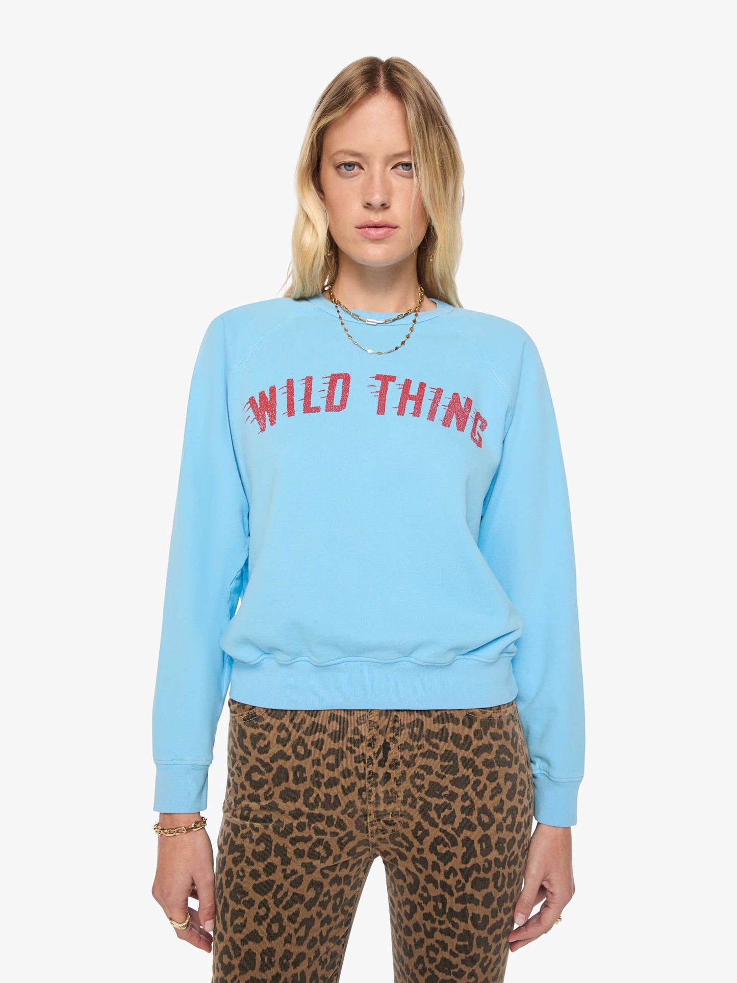 The Concert - Wild Thing