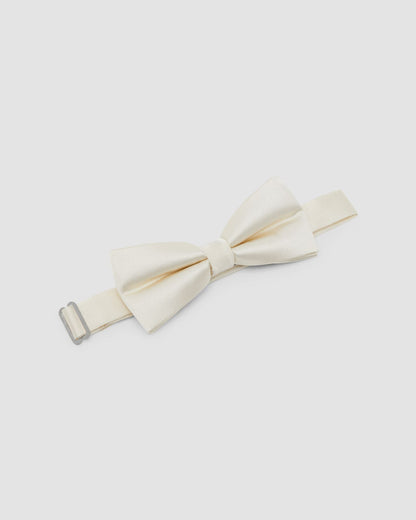 Classic Occasion Silk Bow Tie