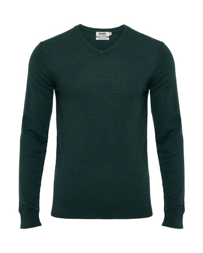 Basic V-Neck Pure Wool Pullover