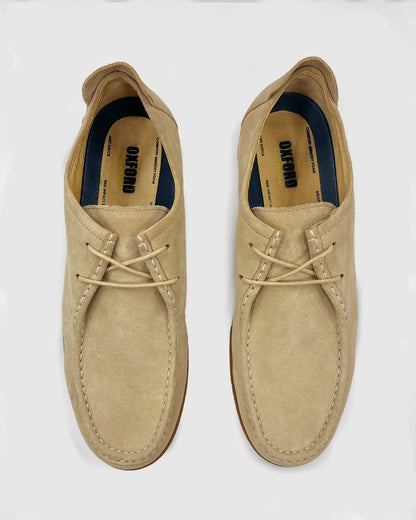 James Suede Lace Up Shoe