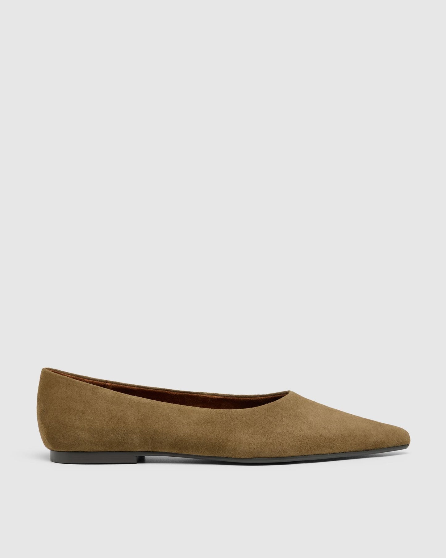 Reece Suede Pointy Flat