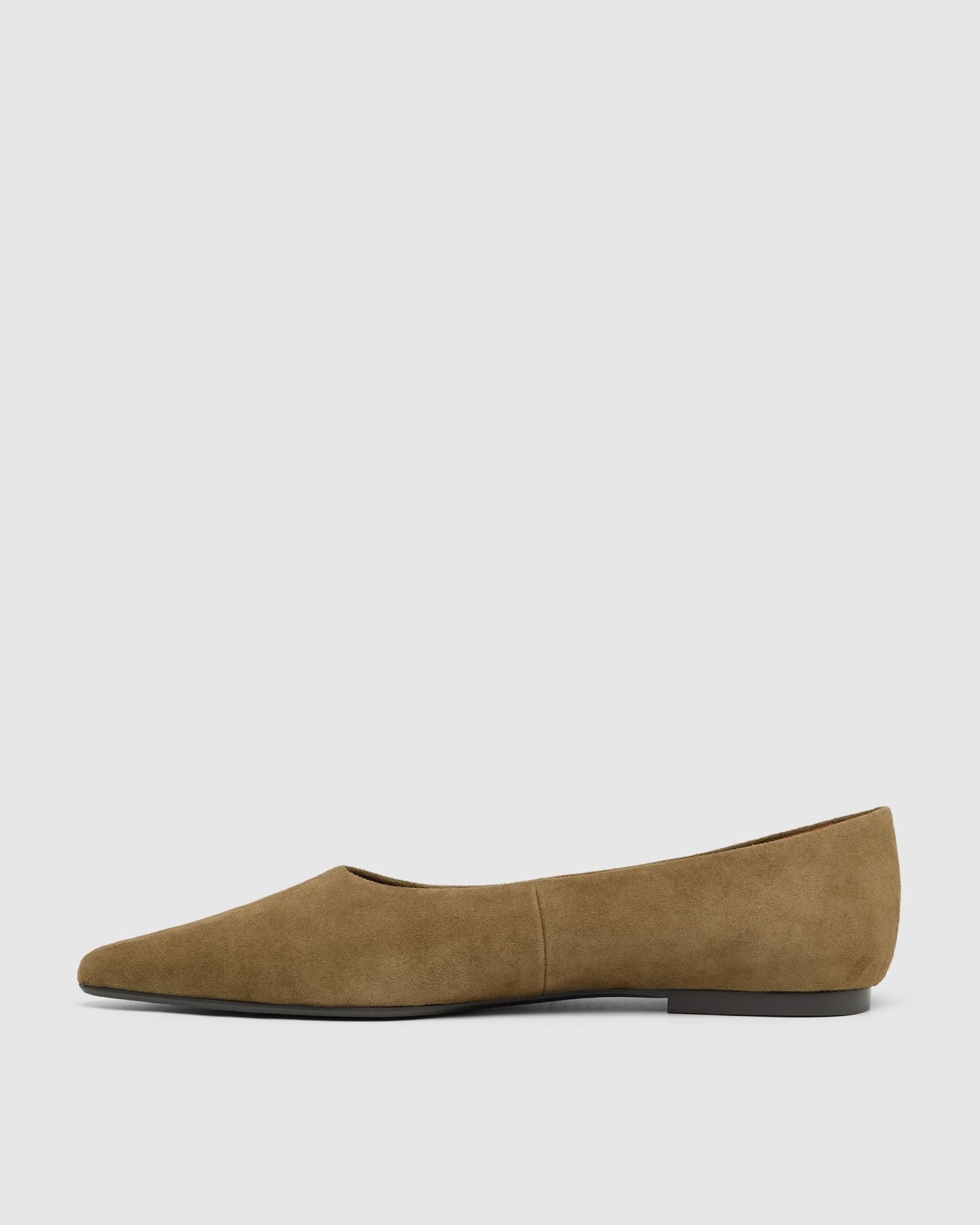 Reece Suede Pointy Flat