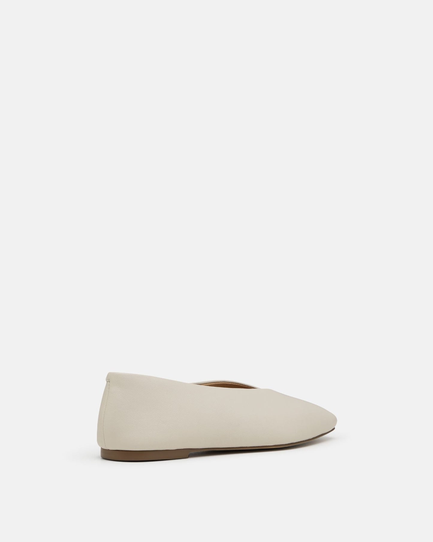 Dinah Ballet Flat Shoe