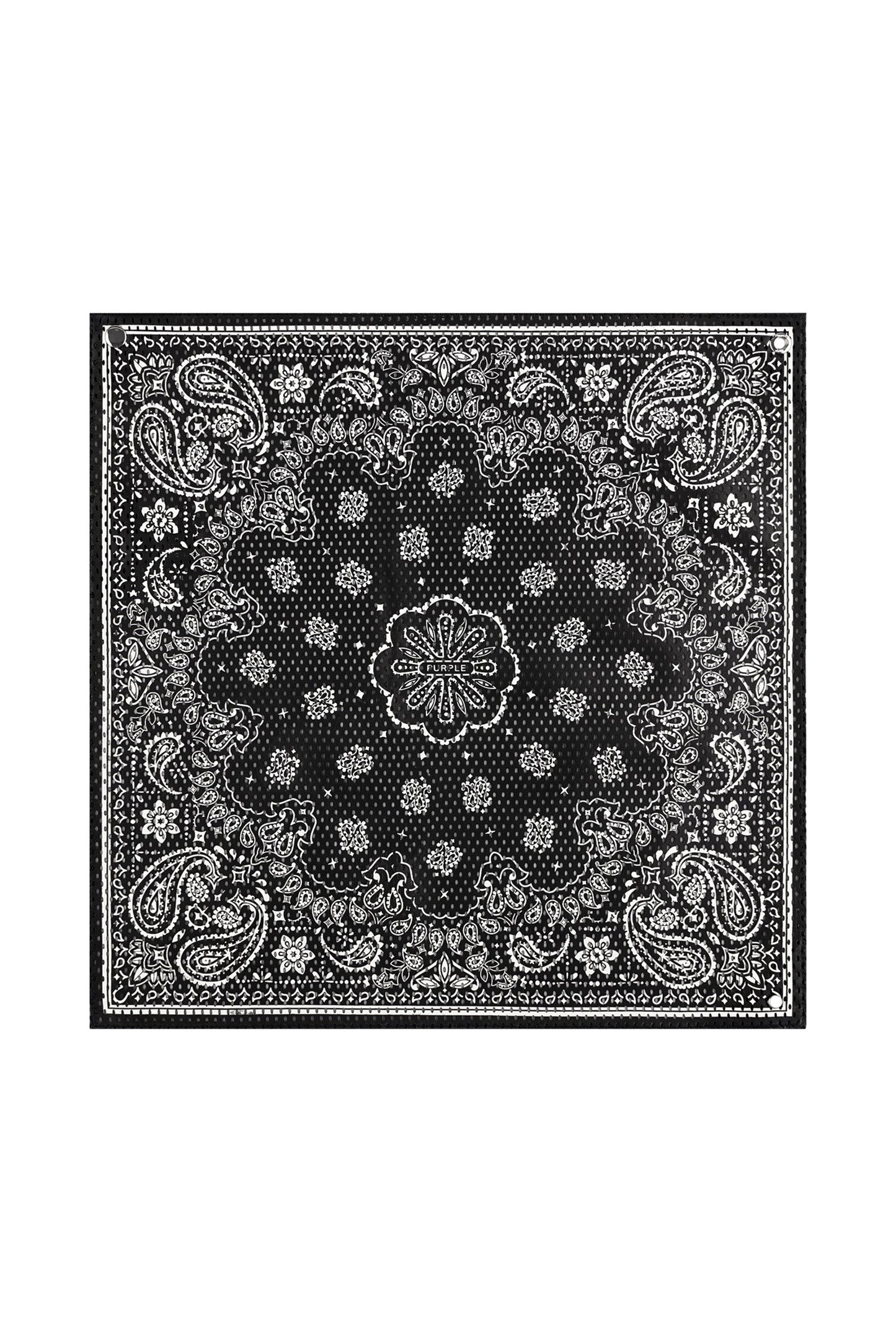 Paisley Leather Bandana