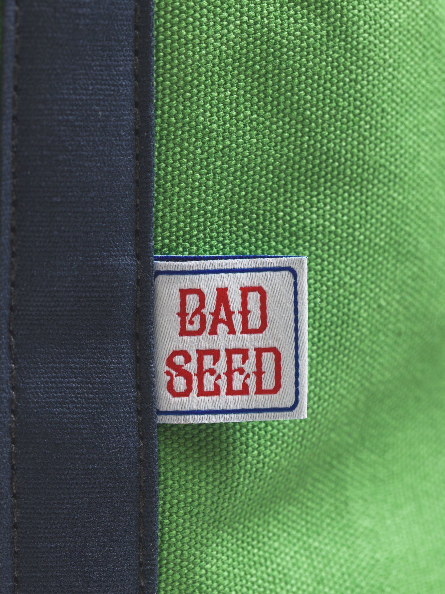 The Canvas Tote Bag - Kelly Green And Cobalt