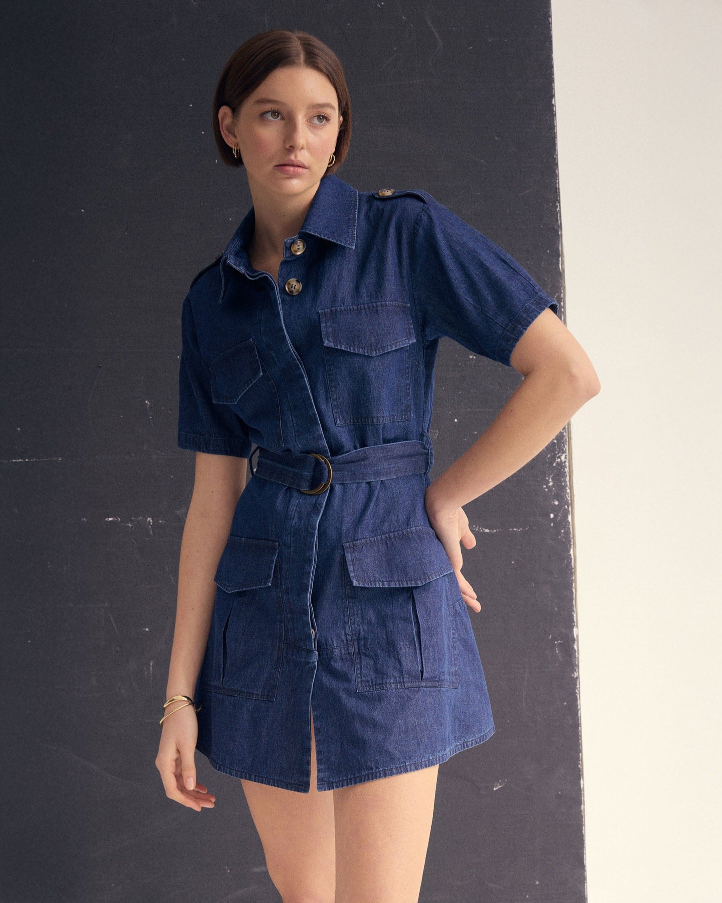 Alda Safari Dress