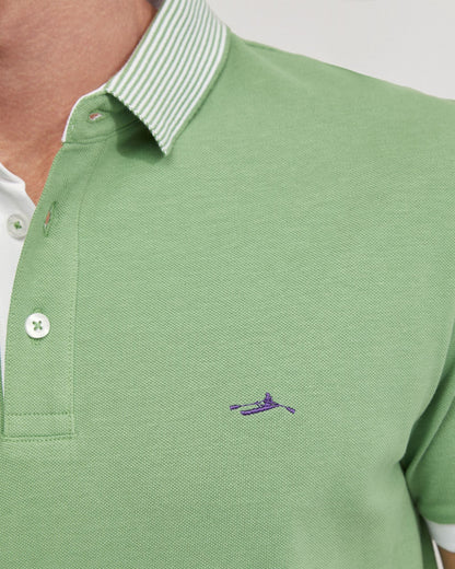 Dylan Striped Collar Pique Polo