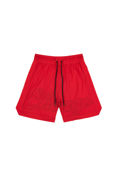 Chicago Bulls Mesh Shorts
