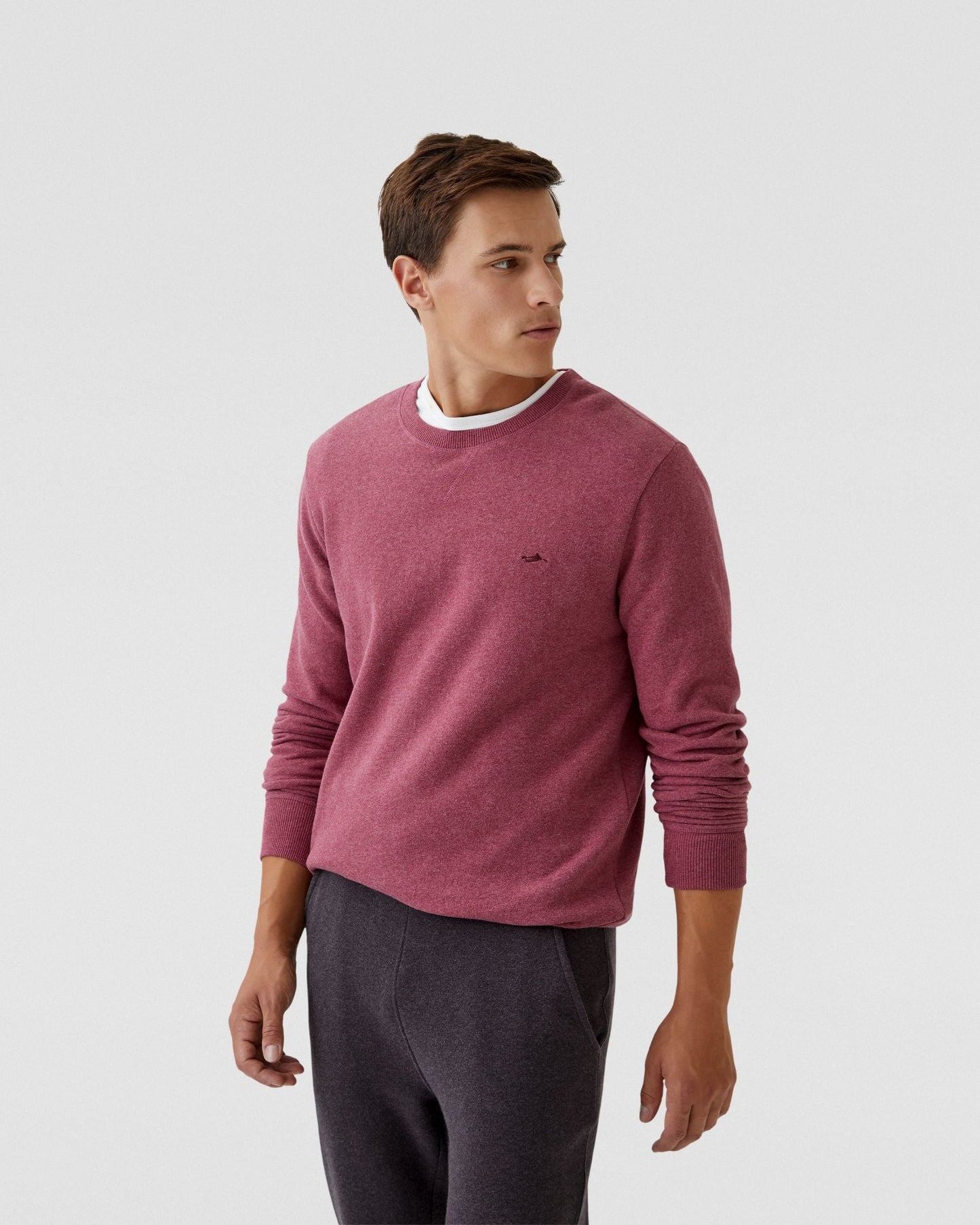 Leo Organic Cotton Sweatshirt