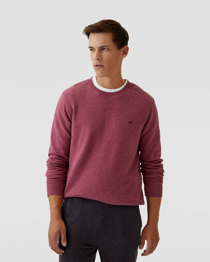 Leo Organic Cotton Sweatshirt