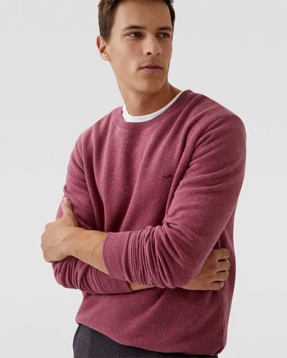 Leo Organic Cotton Sweatshirt
