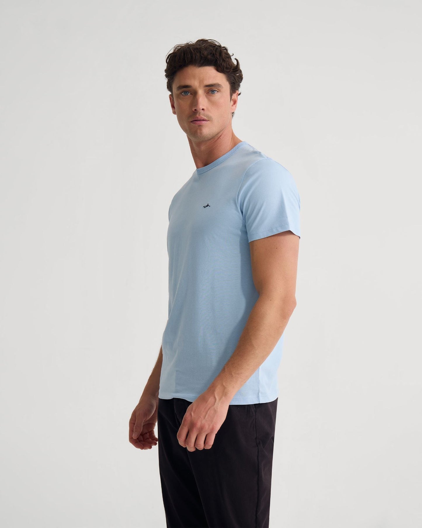 Ben Organic Crew Neck T Shirt