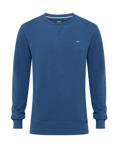 Leo Organic Cotton Sweatshirt
