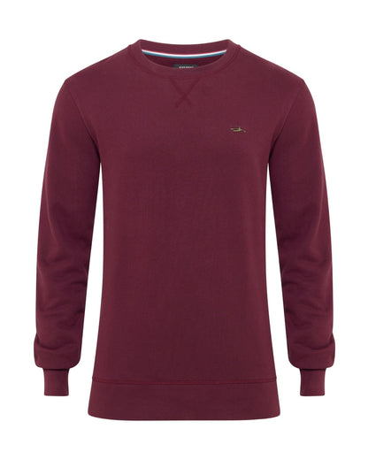Leo Organic Cotton Sweatshirt