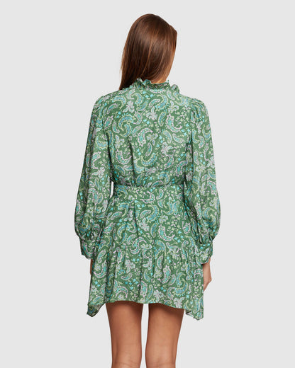 Braily Paisley Printed Dress