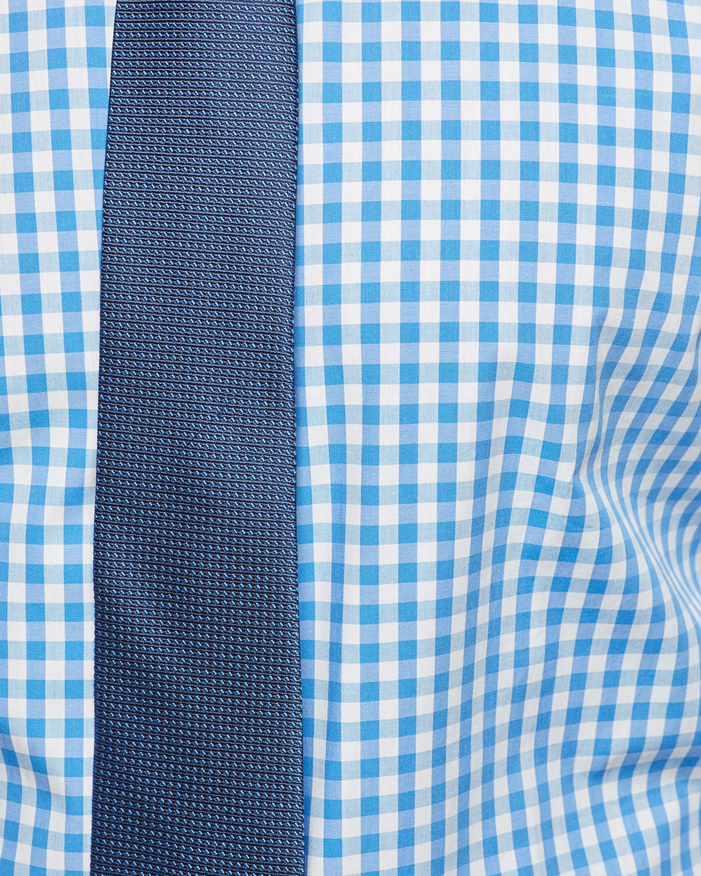 Islington Regular Fit Checked Shirt