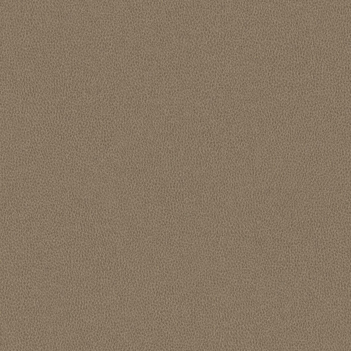 Nomad - Barn Owl - 4149 - 03