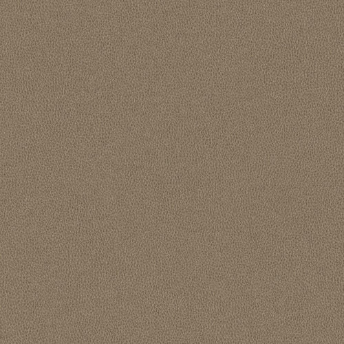 Nomad - Barn Owl - 4149 - 03