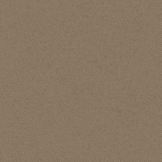 Nomad - Barn Owl - 4149 - 03