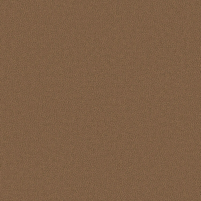 Nomad - Camel - 4149 - 05
