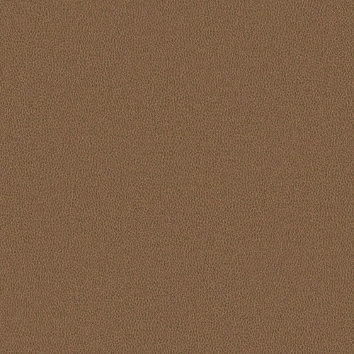Nomad - Camel - 4149 - 05