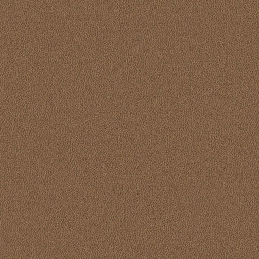 Nomad - Camel - 4149 - 05