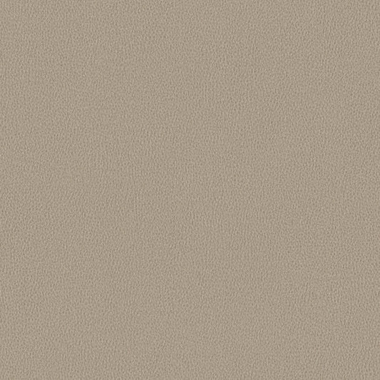 Nomad - Coast - 4149 - 02