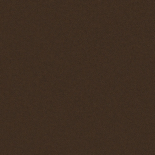 Nomad - Oasis - 4149 - 06
