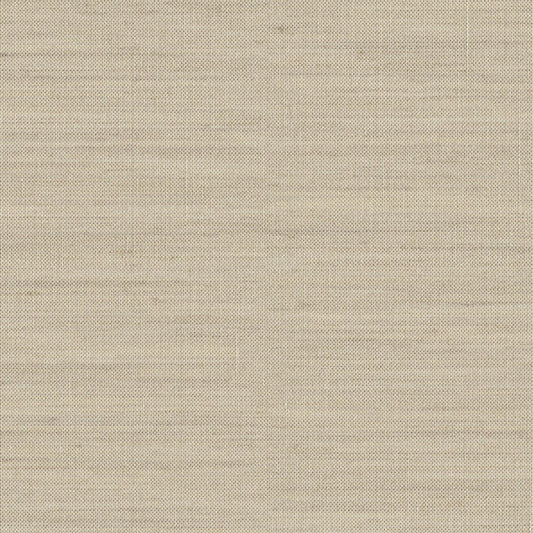 Observation - Ground Level - 6004 - 04
