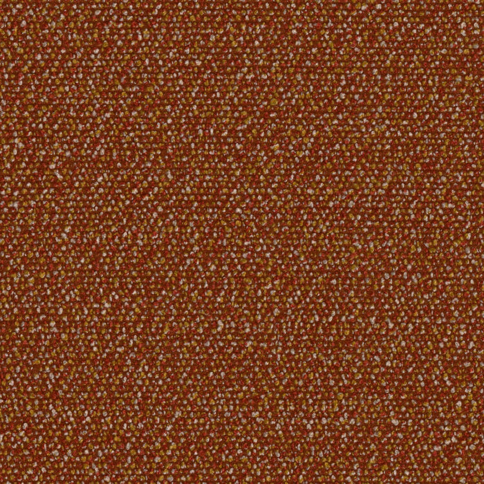 Roam - Safari - 4155 - 02