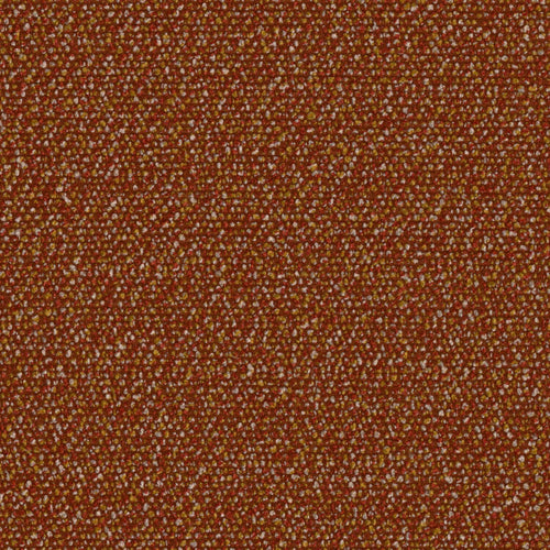 Roam - Safari - 4155 - 02