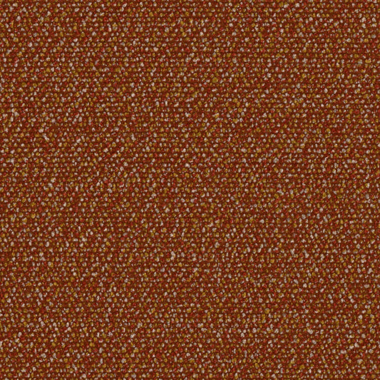 Roam - Safari - 4155 - 02