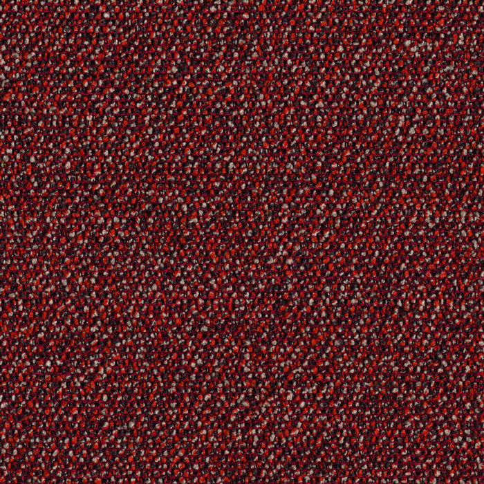 Roam - Wilderness - 4155 - 04