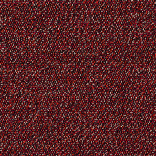 Roam - Wilderness - 4155 - 04