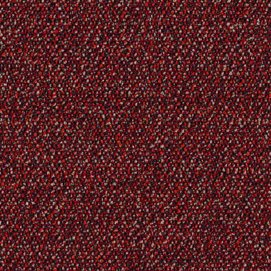 Roam - Wilderness - 4155 - 04